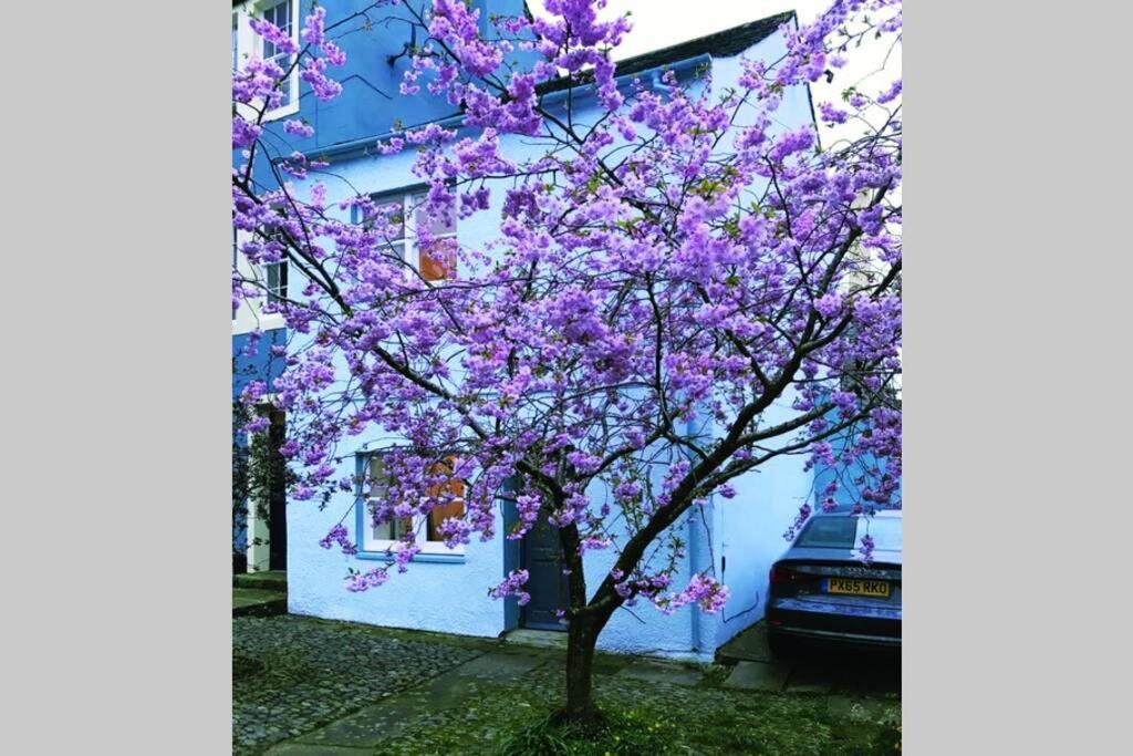 Albion Cottage Кокермут Экстерьер фото